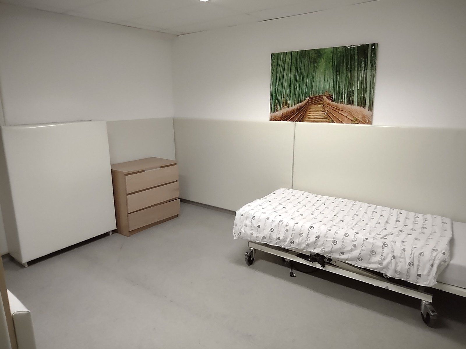 Een spaarzaam ingerichte ziekenhuiskamer met een bed, een ladekast en een schilderij van een landschap. De muren zijn wit met gewatteerde vlakken.