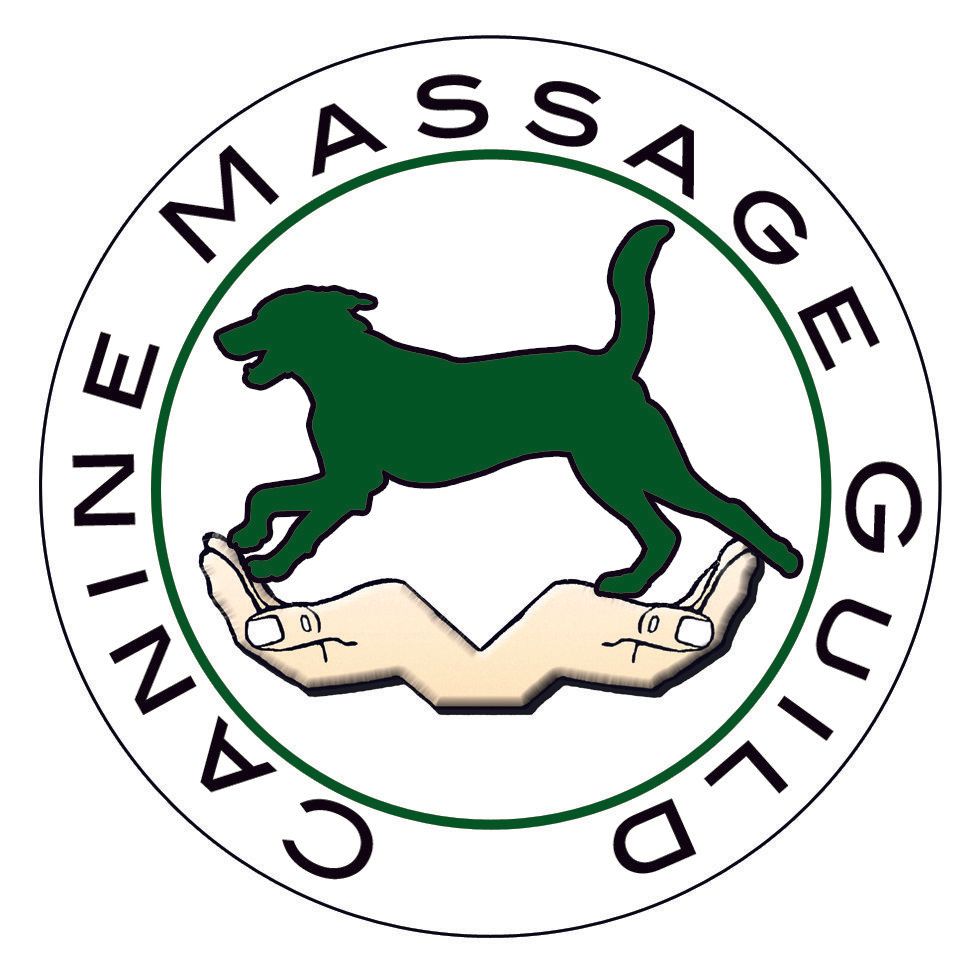 canine massage guild