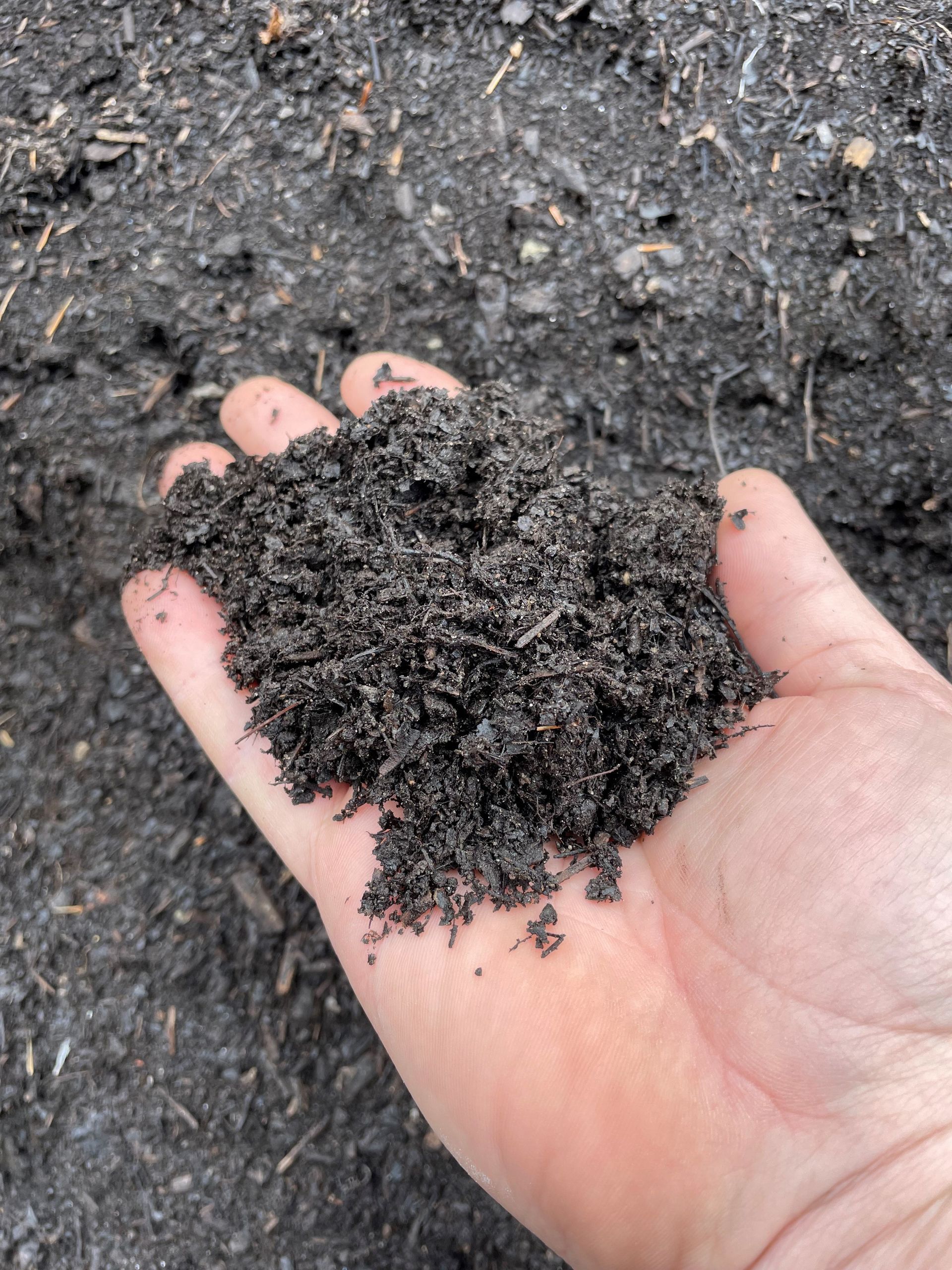 Black Magic Compost - Chepachet, Rhode Island - Chepachet Hardware