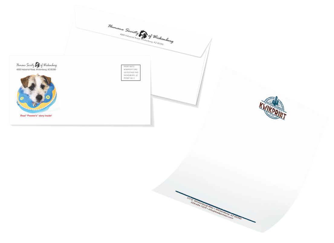 Letterhead, envelope, and small return-address envelope with a dog wearing a cone and company logo.