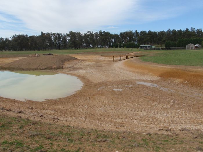 Gardener in blue, tending a lush garden bed of various plants and greenery.