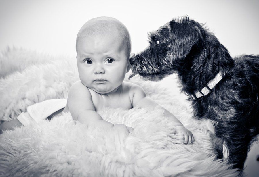 Ein Baby liegt neben einem Hund auf einer Decke.