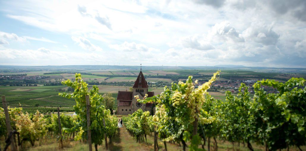 Ein unscharfes Bild eines Weinbergs mit einem Schloss im Hintergrund.