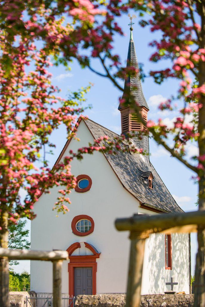 Eine kleine weiße Kirche mit einem Kirchturm, umgeben von rosa Blumen.