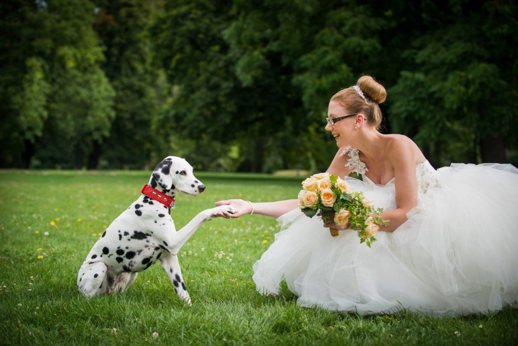 Eine Braut im Brautkleid hält die Pfote eines Dalmatiners.