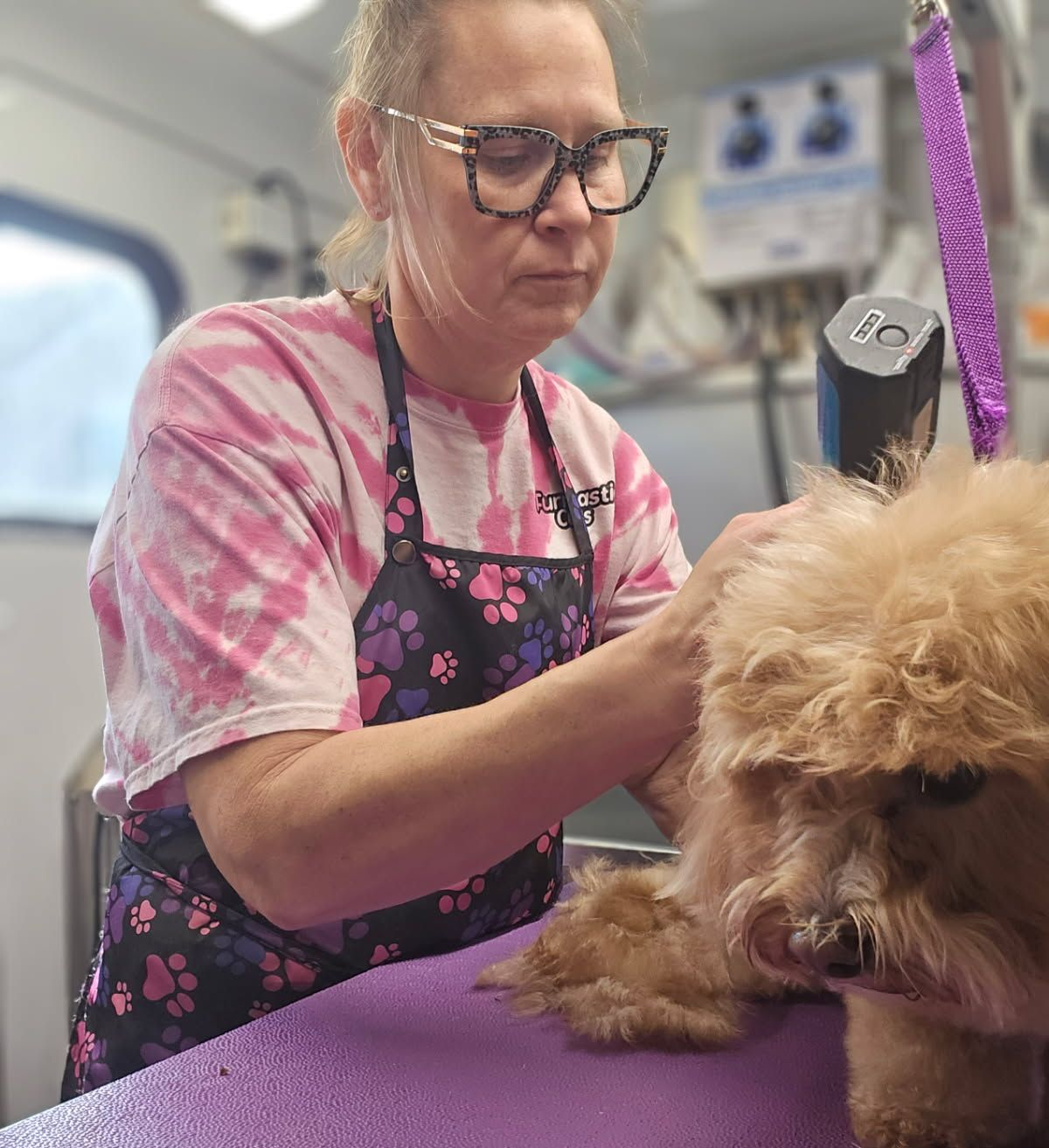 A small dog is sitting on a grooming table with its tongue hanging out.