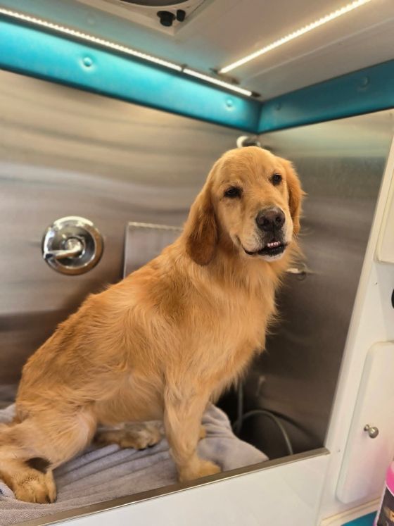 Two women standing next to a trailer that says furrtastic cuts