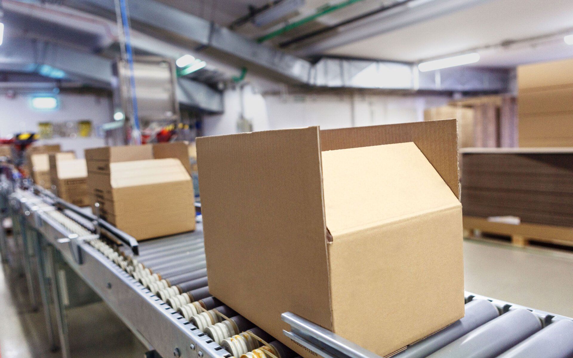 Conveyor Installation