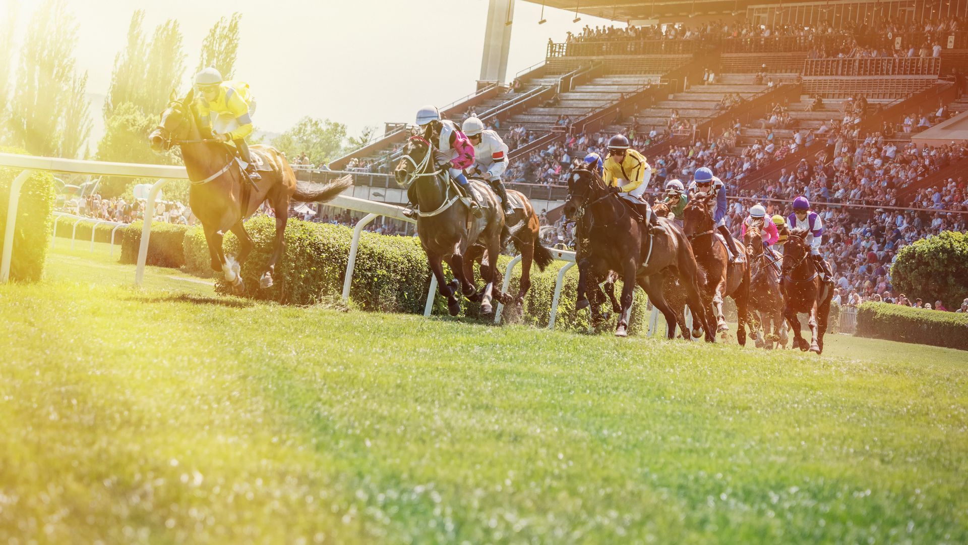 A group of horses are racing on a race track.