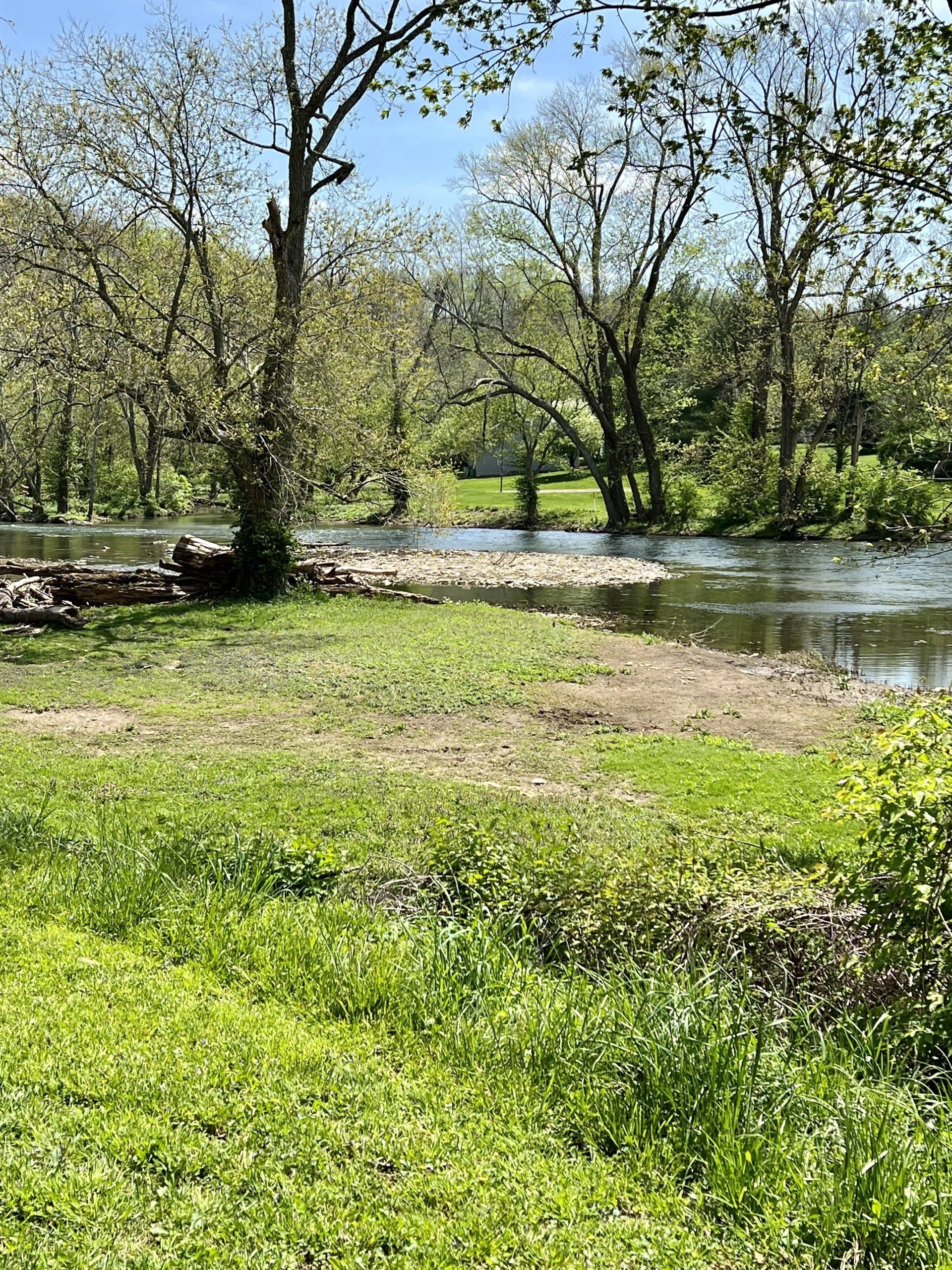 A river runs through a lush green field surrounded by trees.