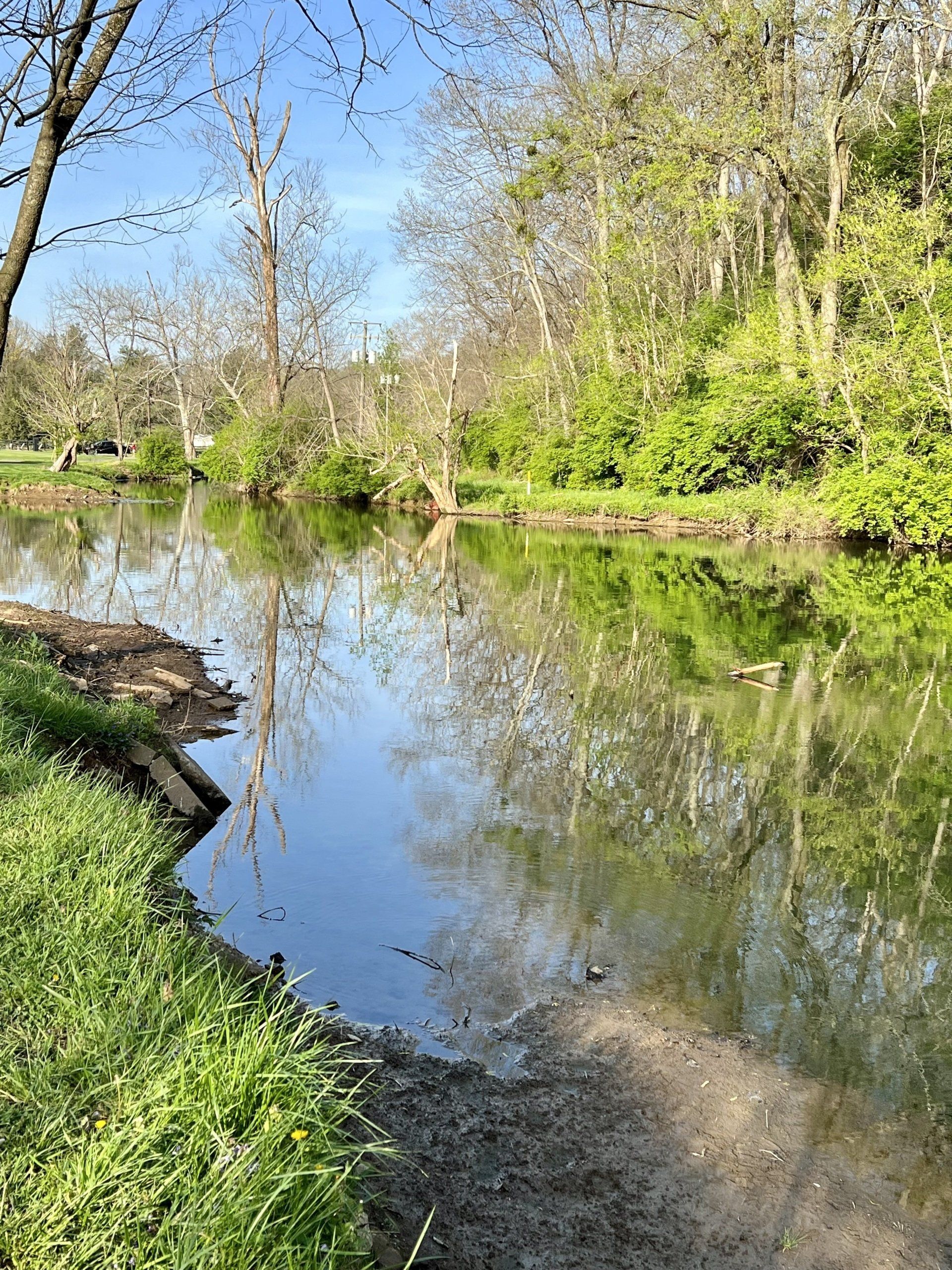A river surrounded by trees and grass on a sunny day.