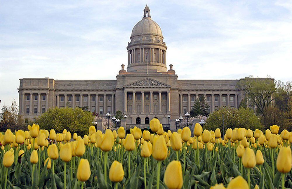 A large building with yellow flowers in front of it