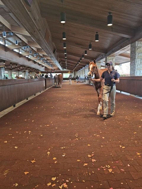 Covered walkway with wooden ceiling and two people walking on a brick floor, one pulling a suitcase.