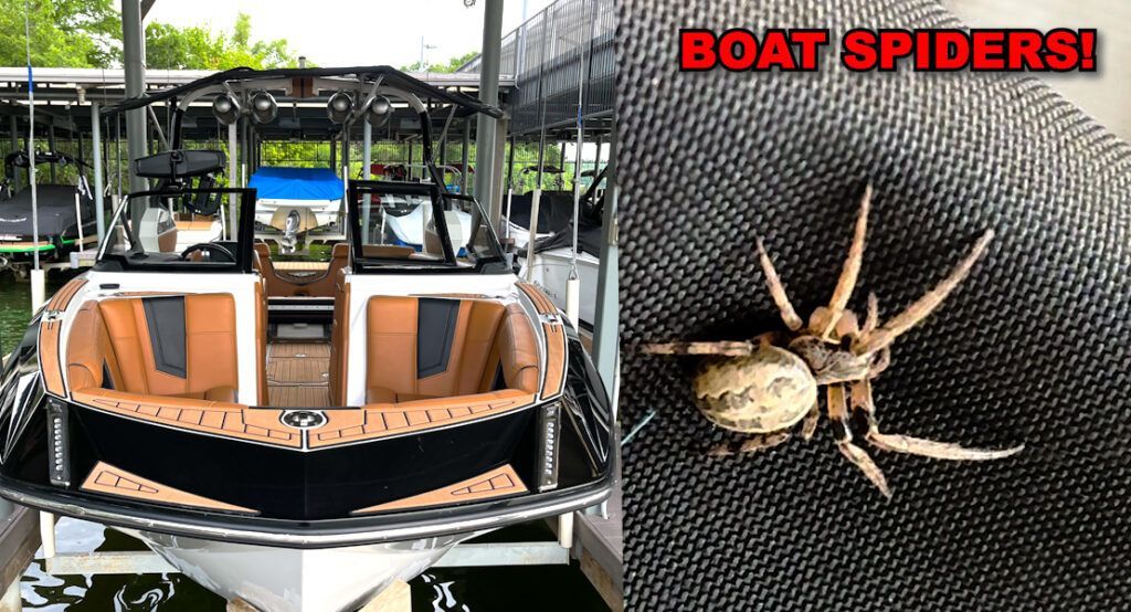 A boat is docked at a dock next to a spider.