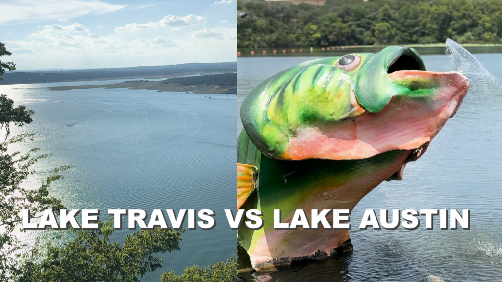 A statue of a fish is in the water next to a lake.