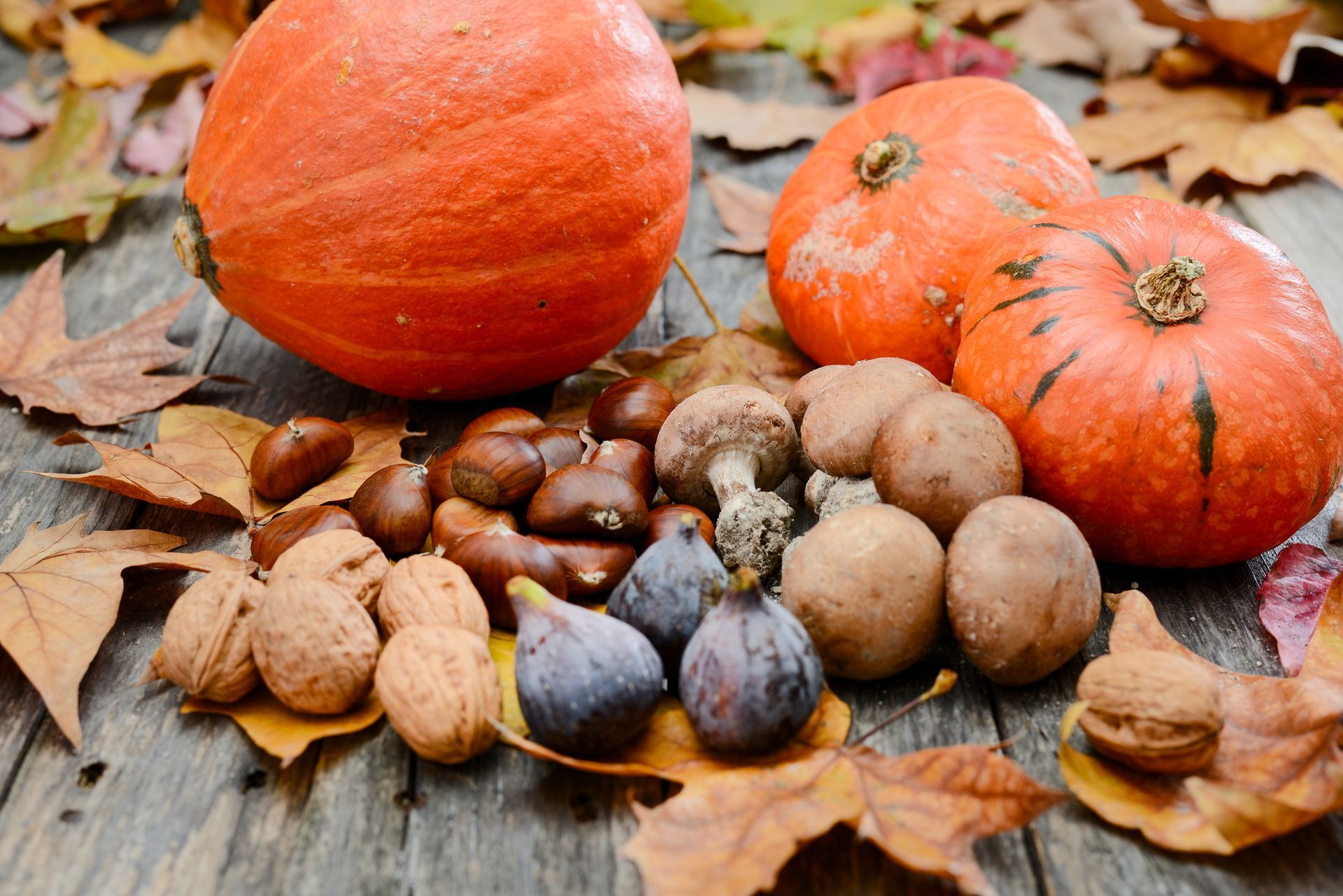 Ortaggi e frutti di stagione: zucca, funghi, castagne, noci e fichi