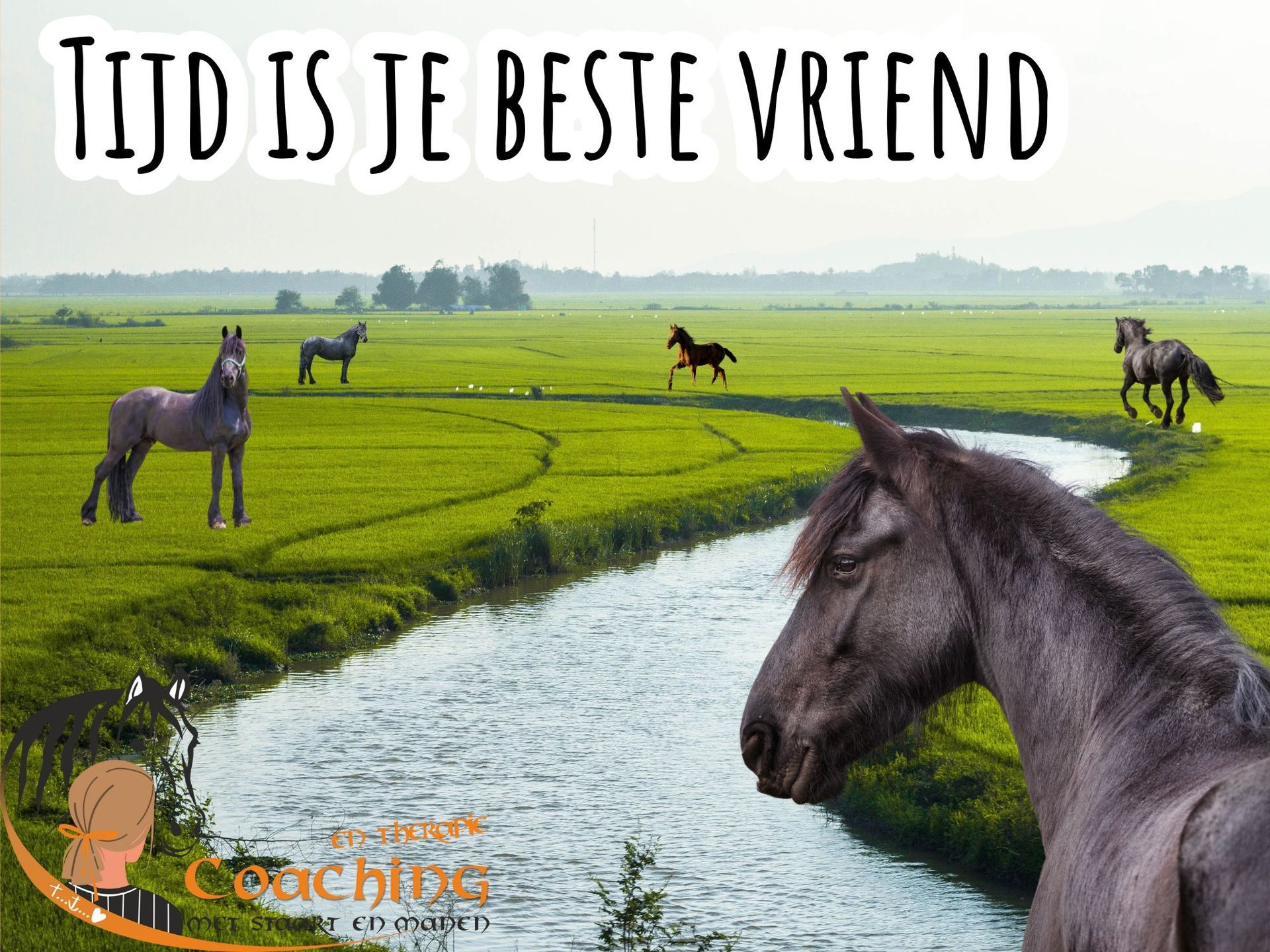 Paard aan rivier, die terugkijkt vanaf volwassen leeftijd naar veulen, tot de dracht van de merrie.
