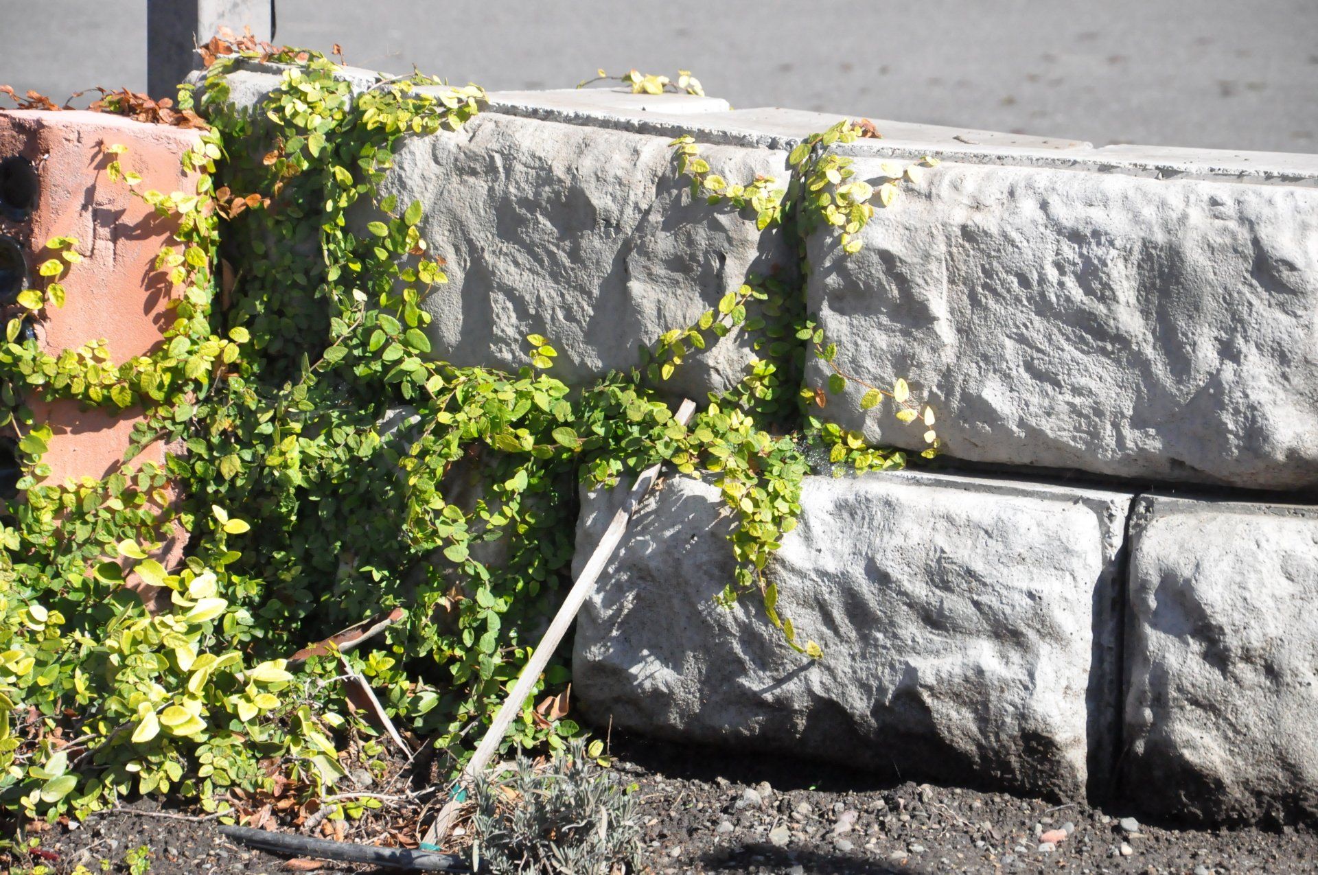 Stone Wall — Santa Rosa, CA — Superior Supplies Inc. Ready Mix Concrete