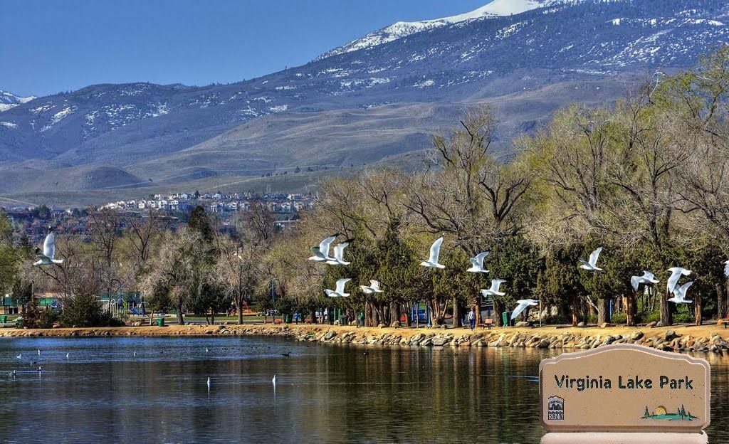 Reno-Nevada-Pond-with-Sign