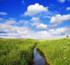 Person centred - Winchfield, Hampshire - Sally Hastings Counselling - Nature