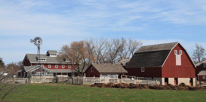 A row of red barns with a windmill in the background.