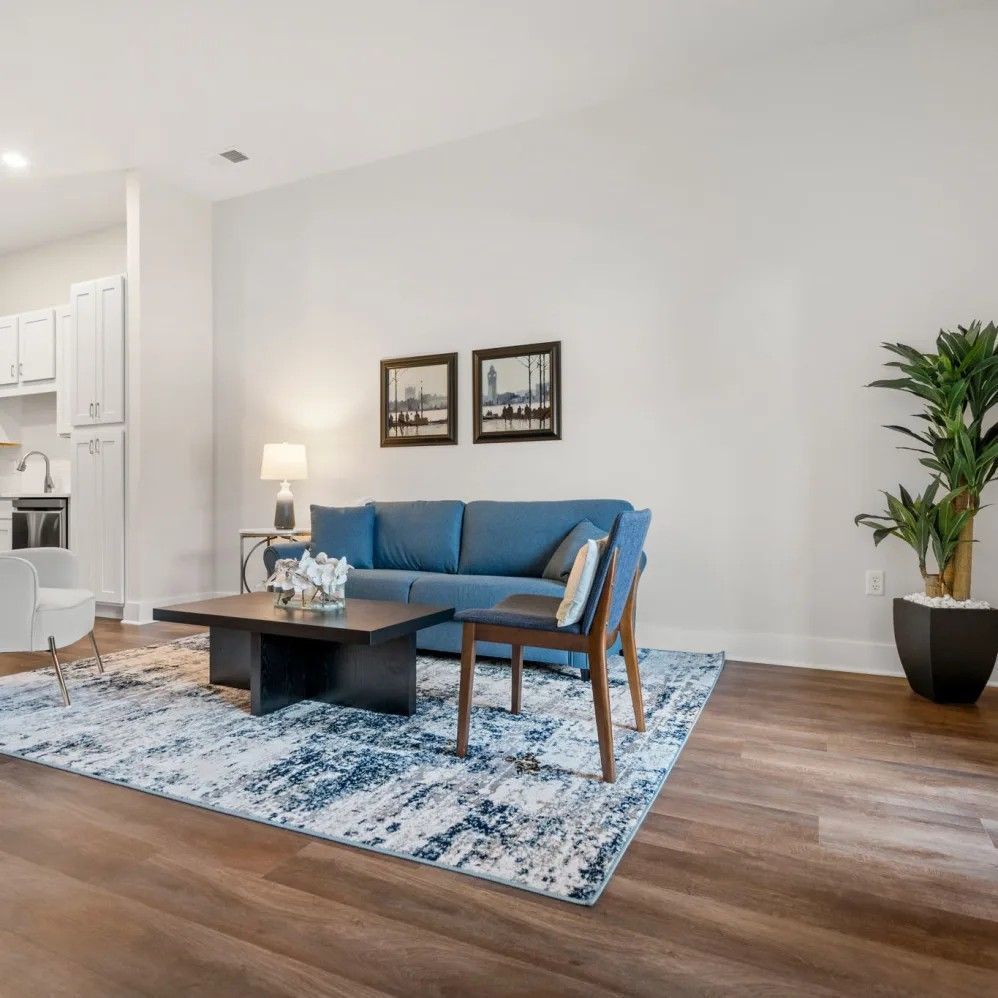 Living room with blue sofa, rug, and artwork, with hardwood floors and a large plant.