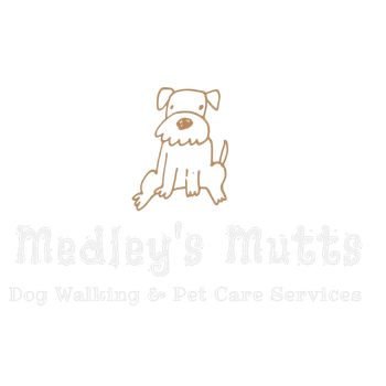 Dog Walking Services Stratford Upon Avon