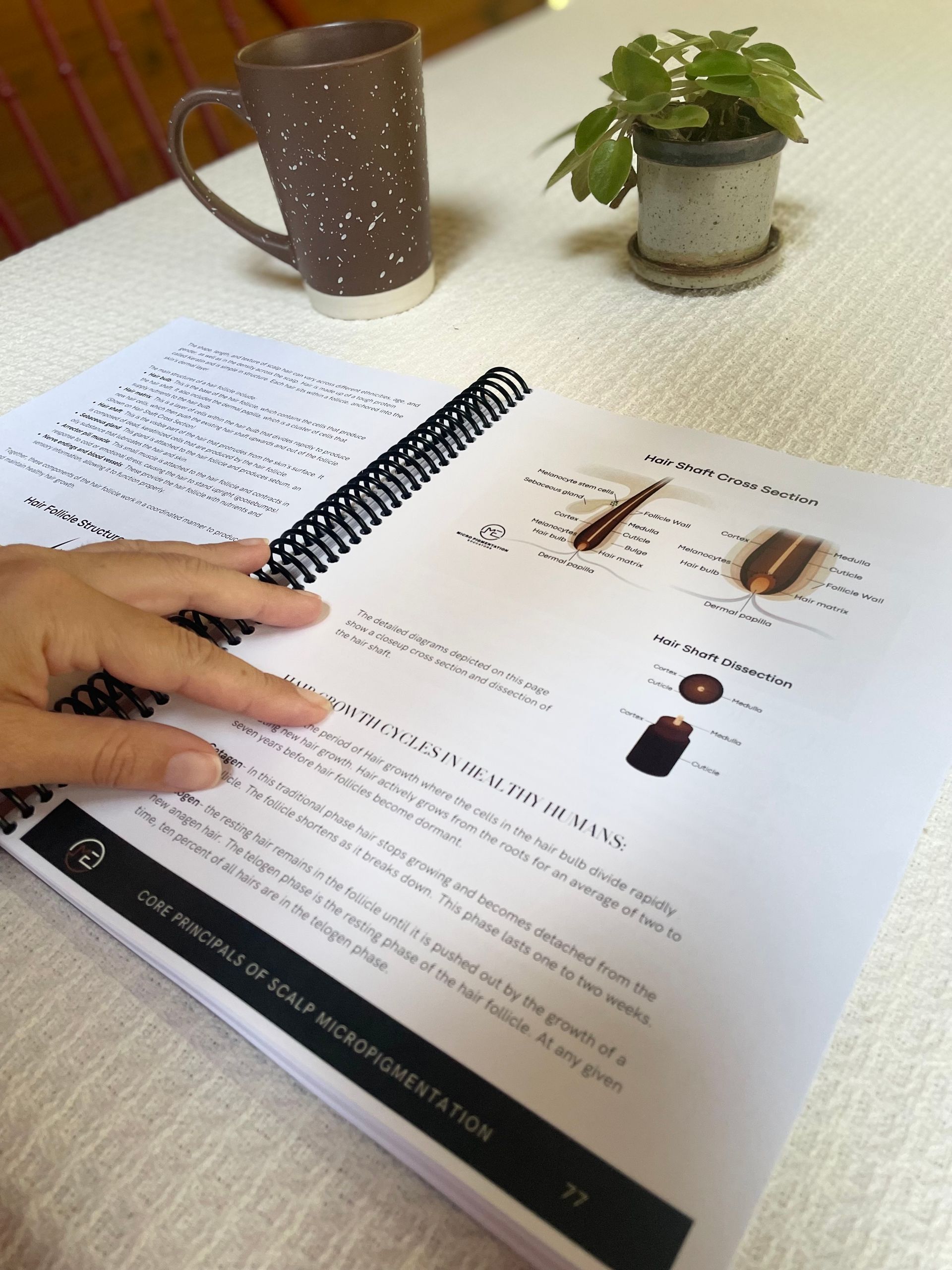 Core Principles of Scalp Micropigmentation textbook (English Edition)