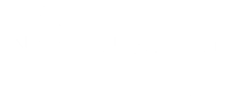 Nettsidebyggeren.no - SEO og brukervennlighet