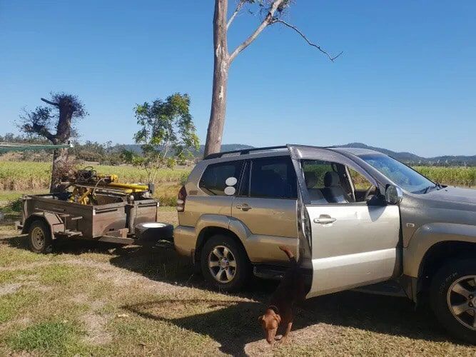 Dog Going Outside The Car — Geotechnical  Investigation in Rosslea, QLD