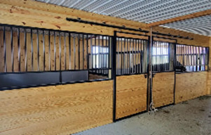 Wood horse stalls with black metal bars inside a barn with metal roofing.
