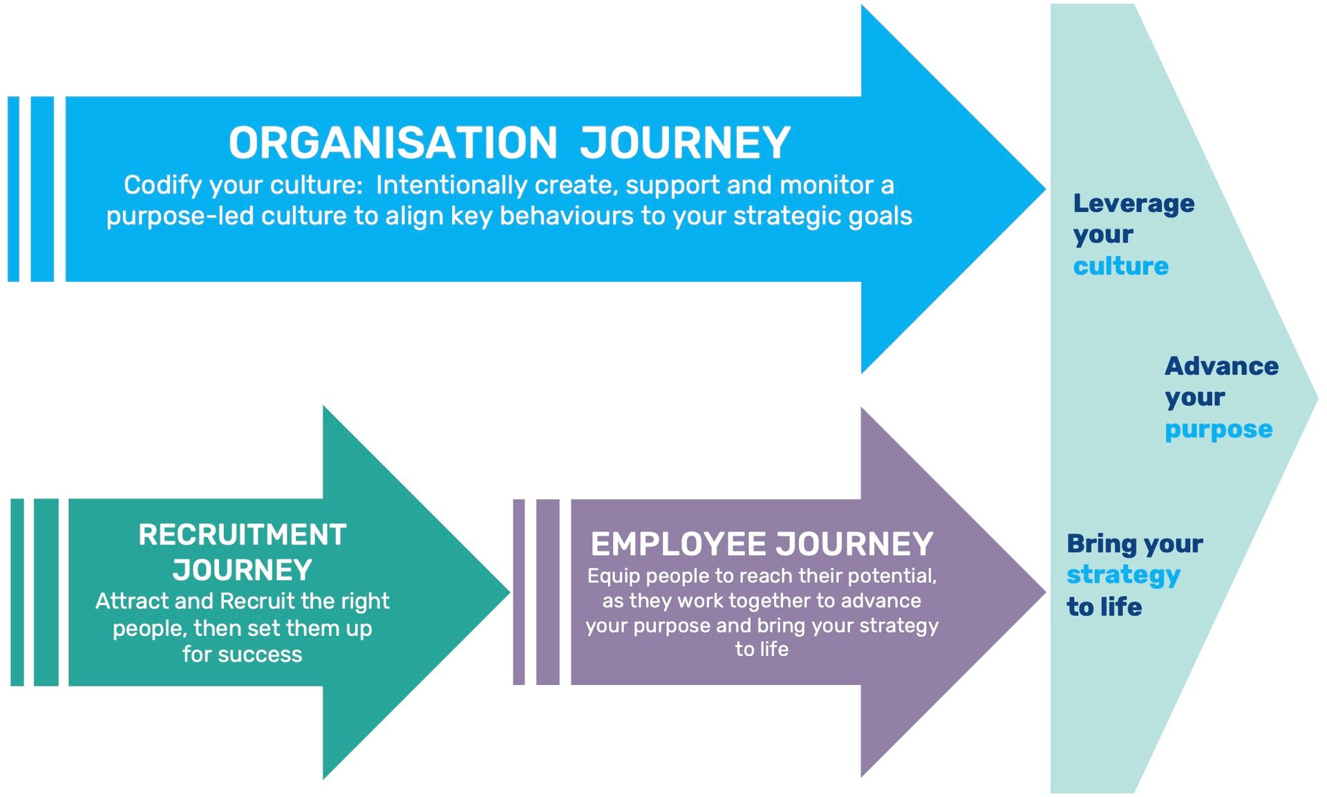 Organisational culture capability roadmap