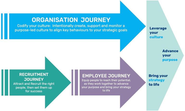 Organisational culture capability roadmap