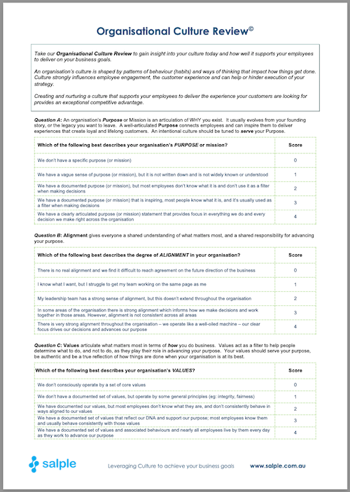 Organisational Culture Review