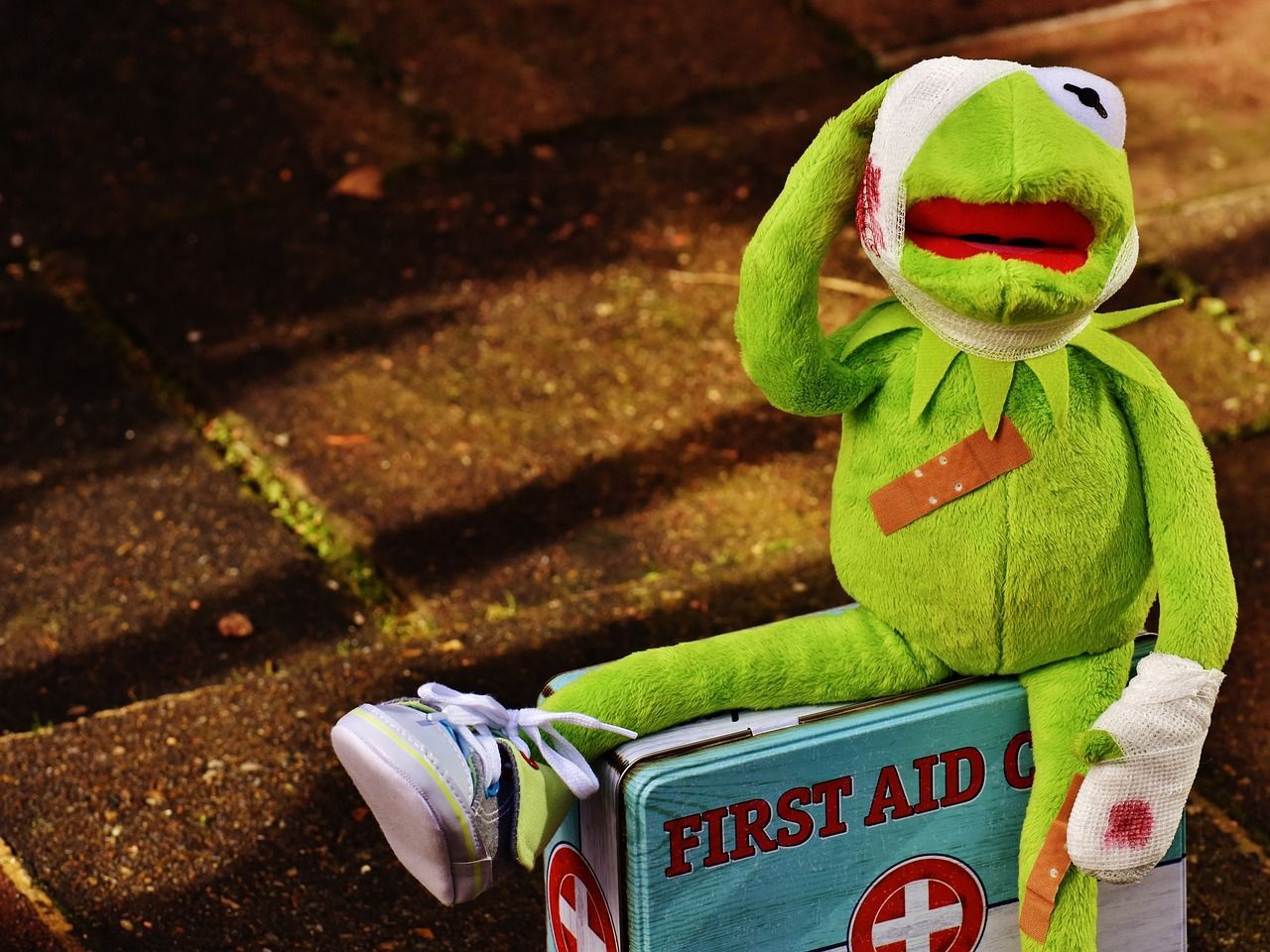 Kermit, Verband, Pflaster, Erste Hilfe