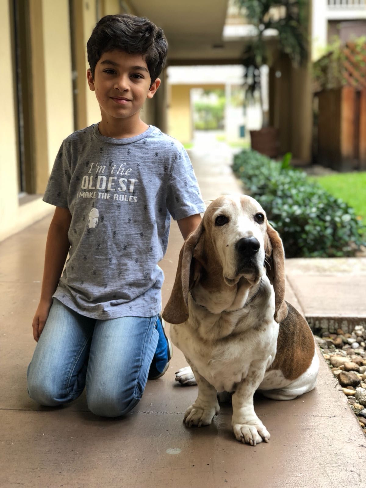 A young boy is kneeling next to a basset hound dog.
