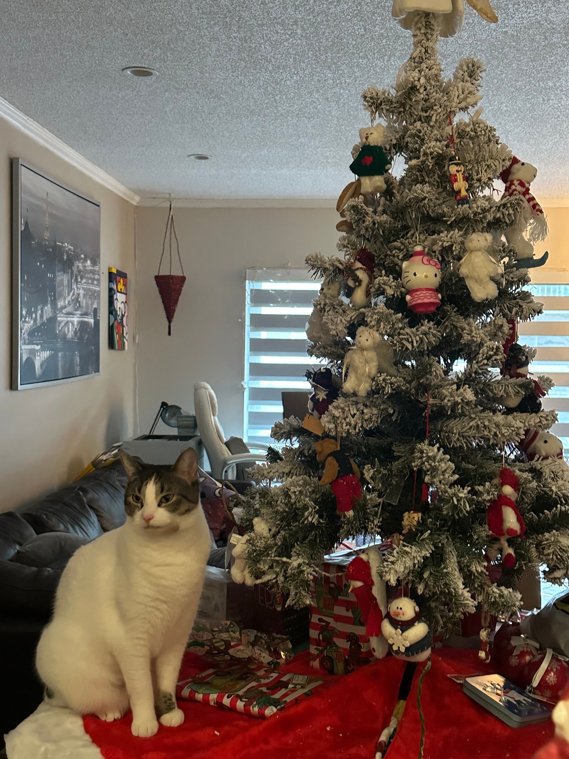 A cat is sitting in front of a christmas tree