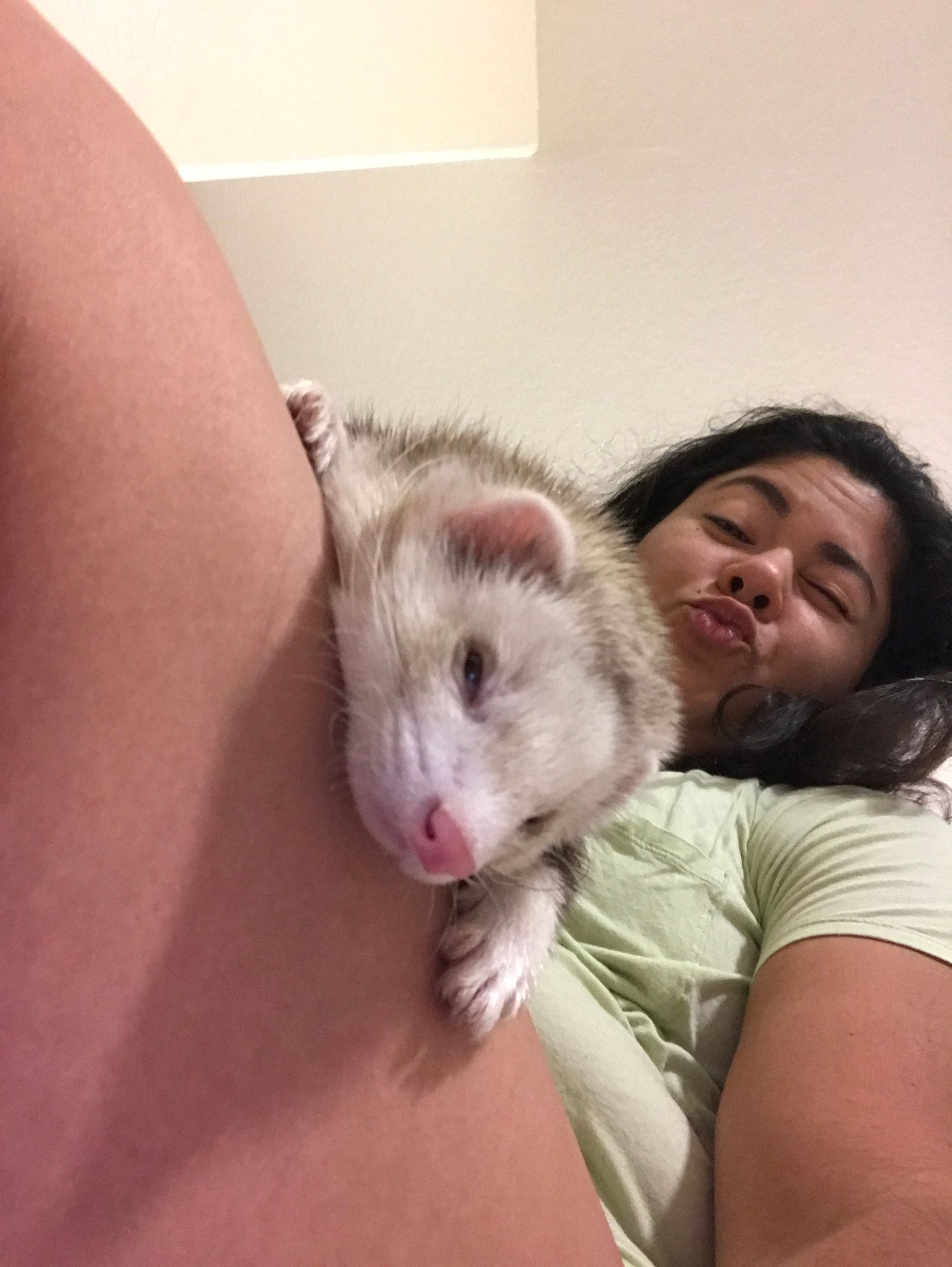 A woman is holding a small ferret on her lap.