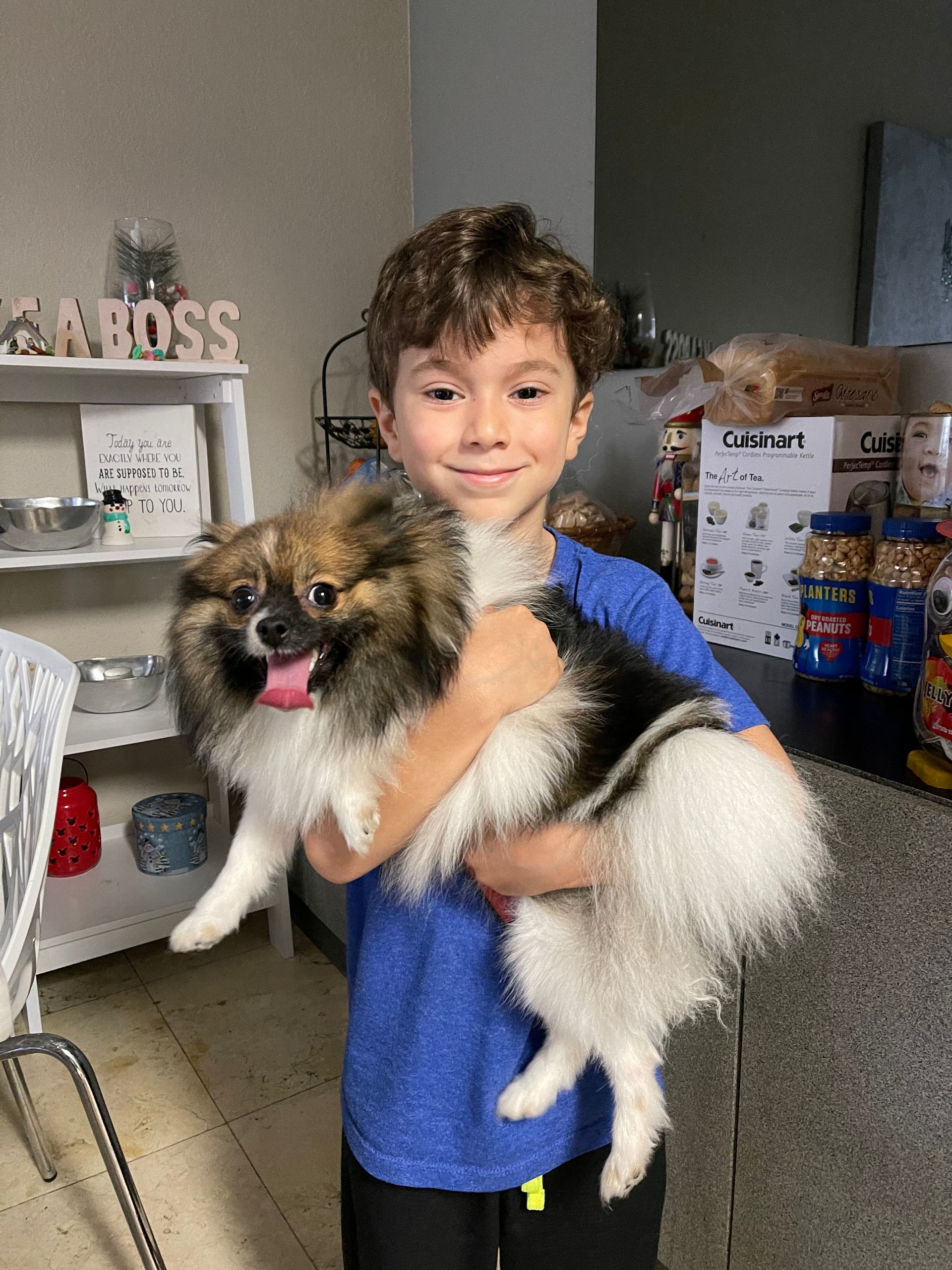 A young boy is holding a small dog in his arms.