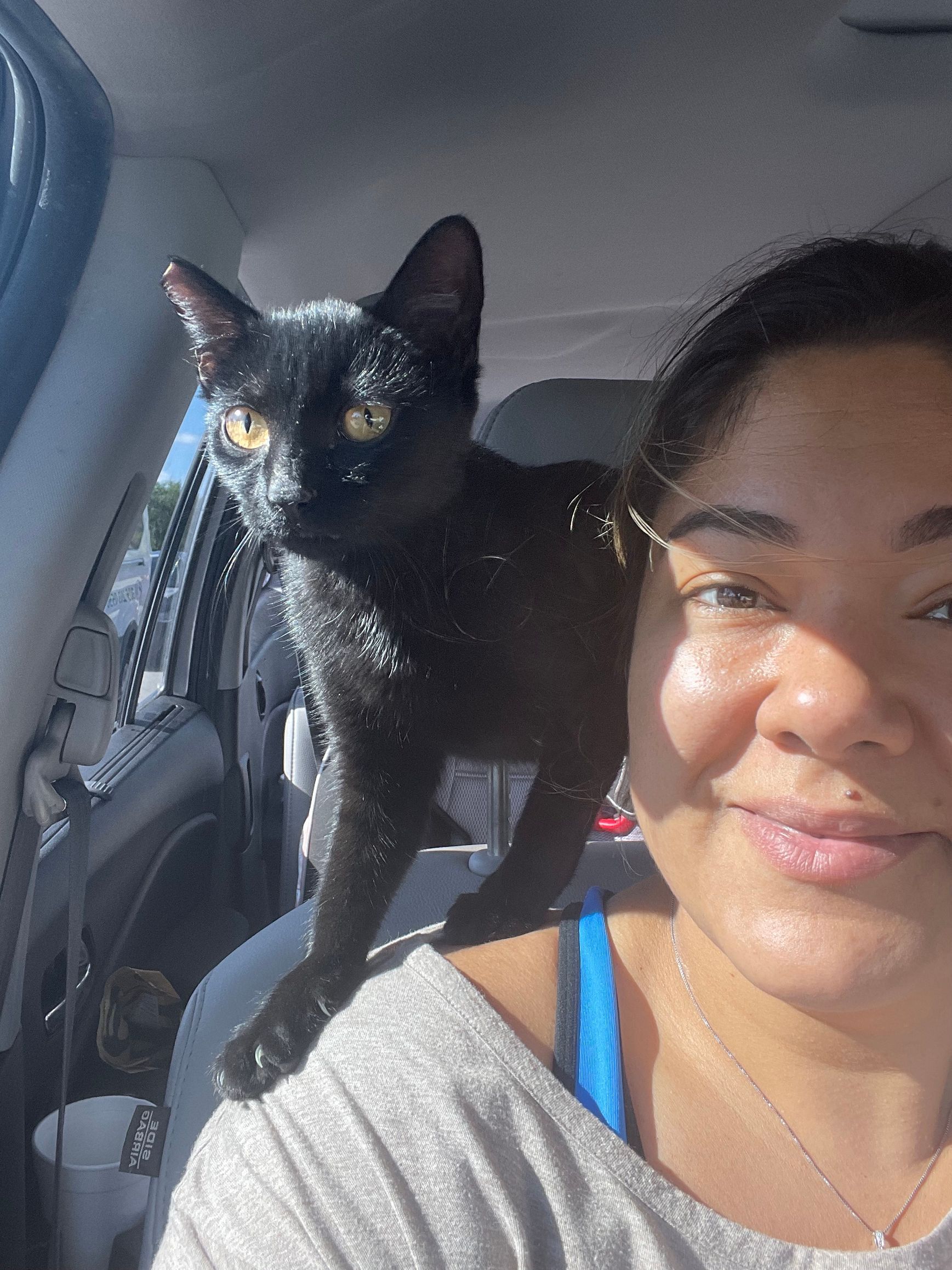 A woman is sitting in a car with a black cat on her back.
