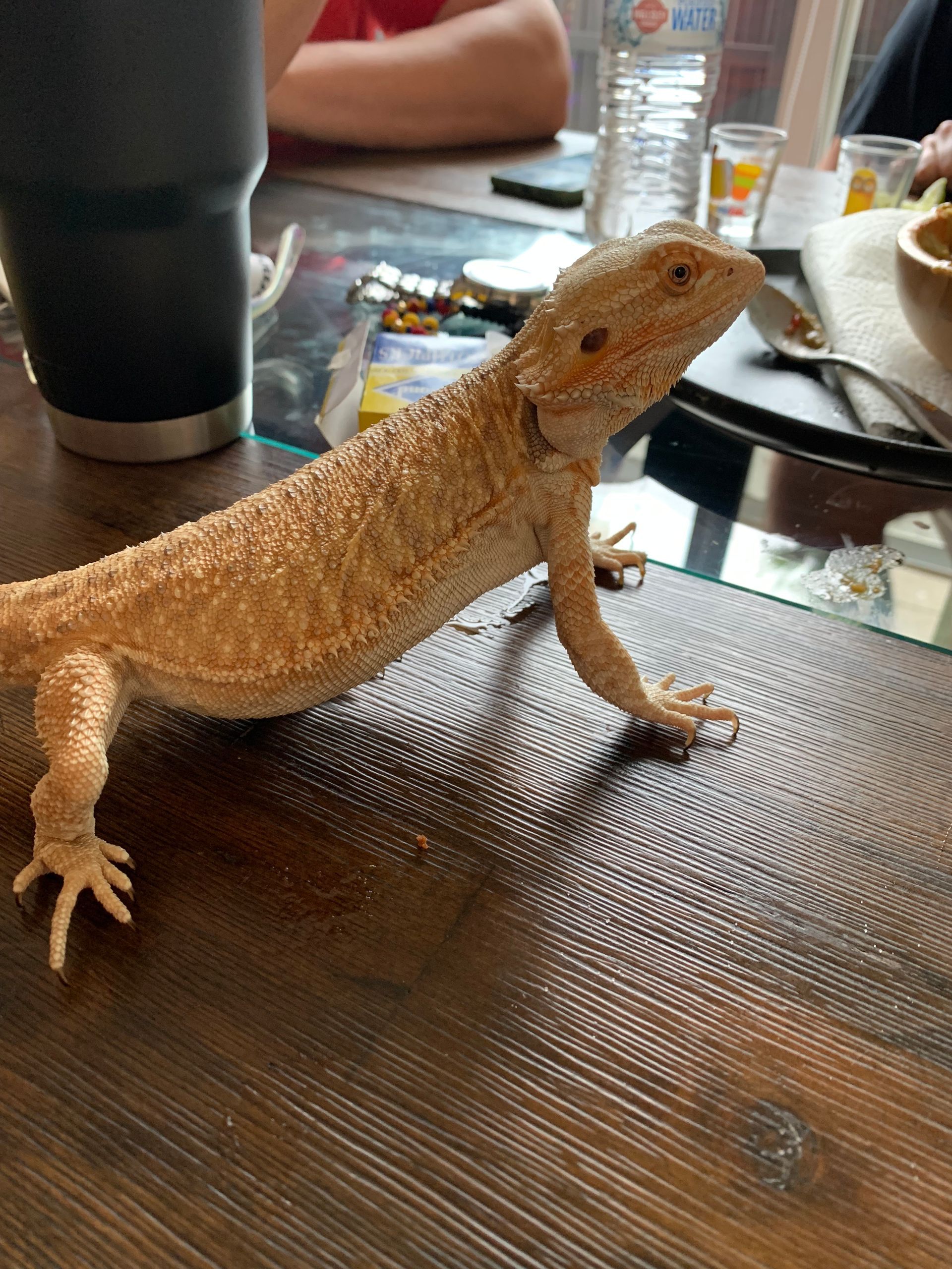 A lizard is sitting on a wooden table.