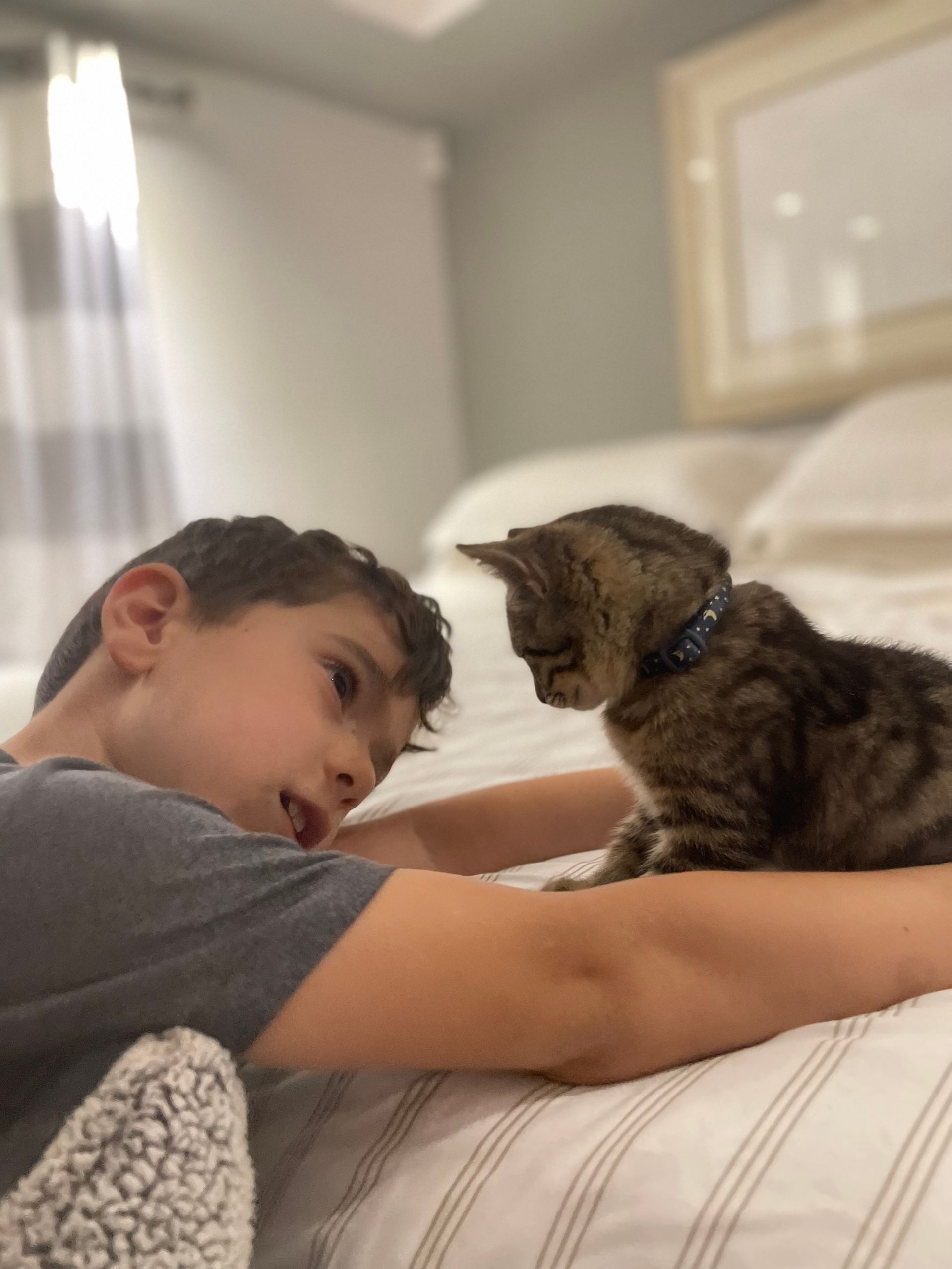 A young boy laying on a bed with a cat on his lap