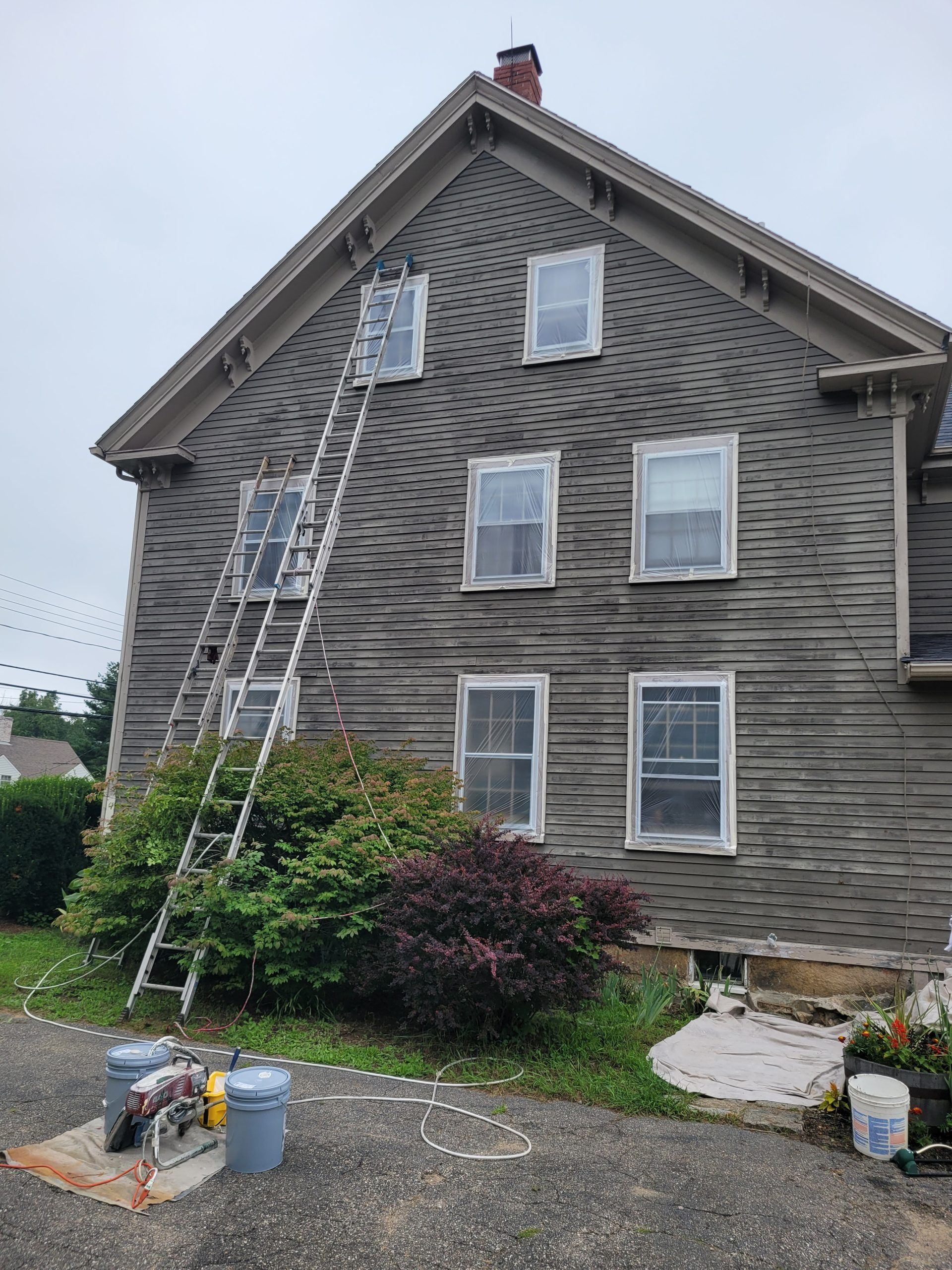 Gray house with a ladder propped against it, surrounded by bushes and paint supplies.