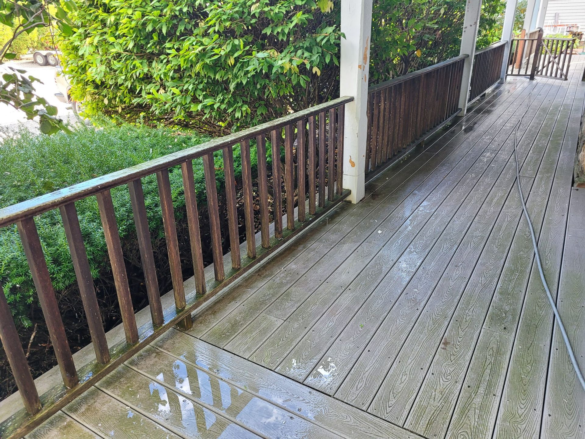 Wooden deck with wet, gray planks and a brown railing, next to green bushes.