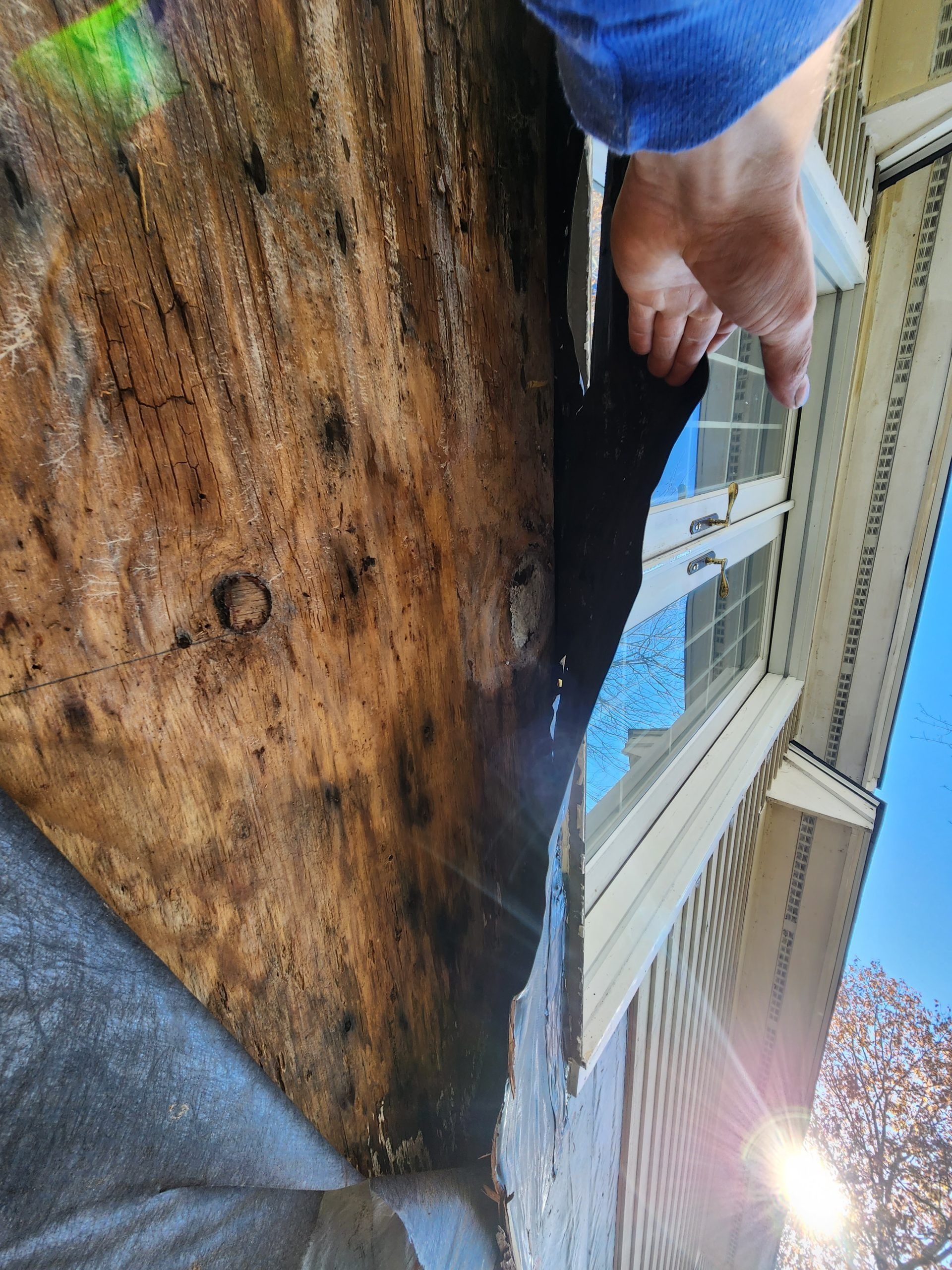 Damaged wood siding; hand holding a bottle, spraying. Exterior of a house with visible water damage.