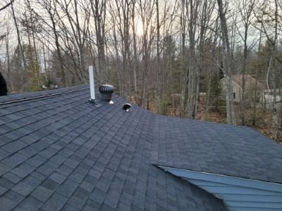 Dark shingle roof with vents. Trees in the background, overcast sky.