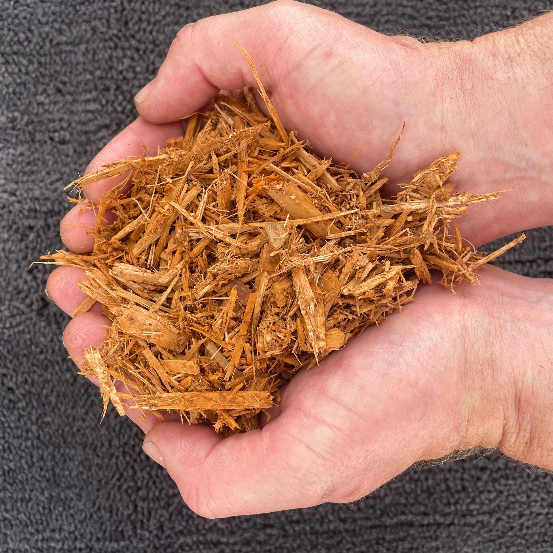 A person is holding a pile of wood chips in their hands