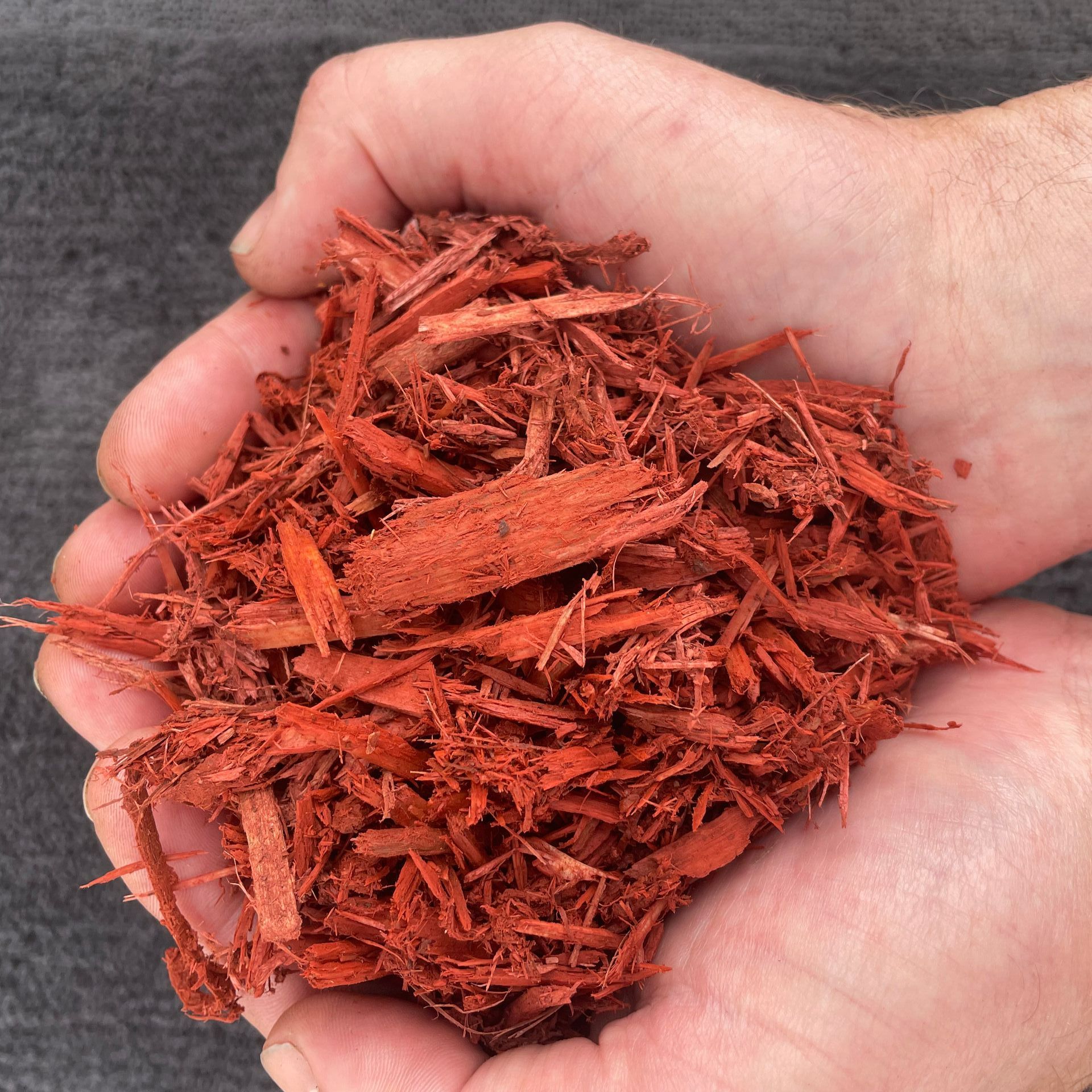 A person is holding a pile of red mulch in their hands