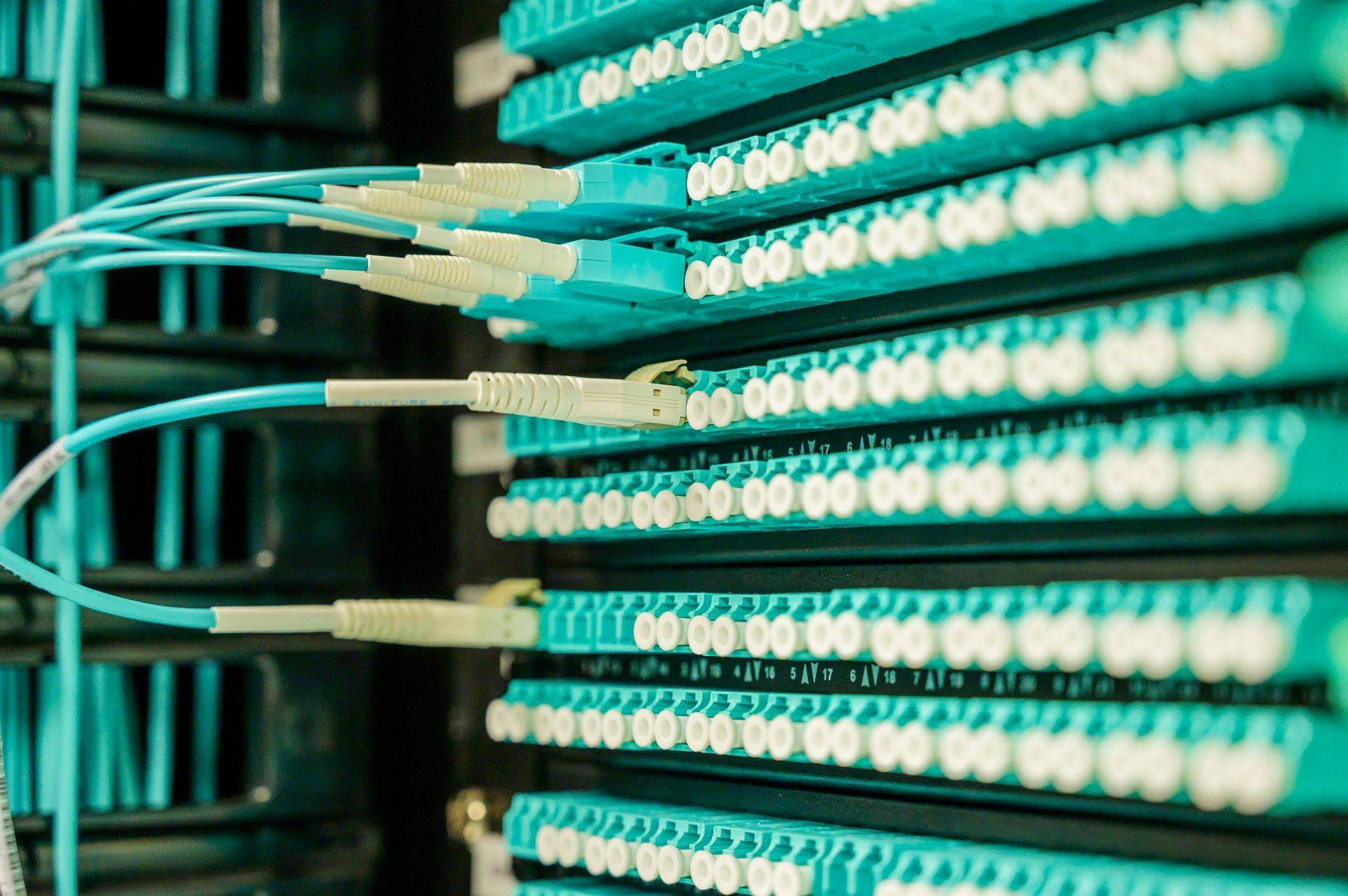 A bunch of blue multi-mode fiber cables are connected to a fiber distribution panel in a server room.