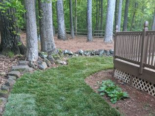 landscaping company charlotte nc